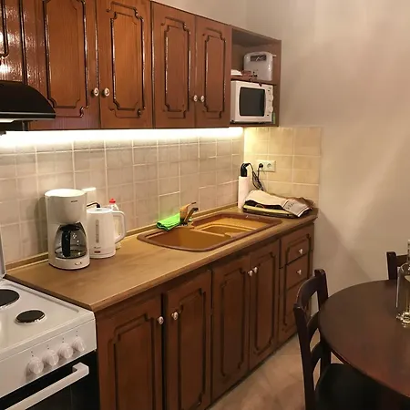 Apartment Traditional House Irina *